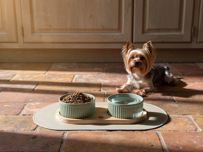 Comedero Elevado de Bambú y Cerámica – Altura Ajustable con Alfombrilla Antideslizante | BELMIN